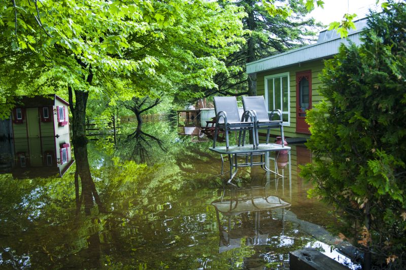 Increase Your Shrub Trimming Business with an AI Driven, Targeted Website