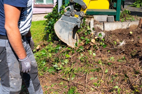 Hedge Removal Service in Saint Joseph