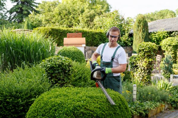 Shrubs Trimming in Saint Joseph