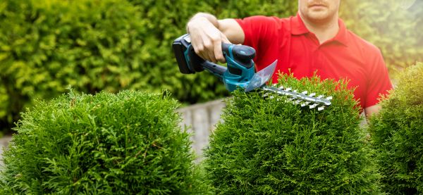 Cost of Hedge Shaping Service in Saint Joseph