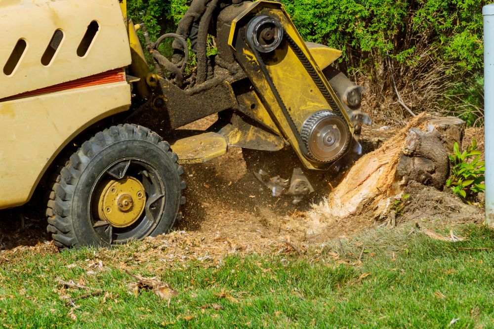 Shrub Stump Grinding